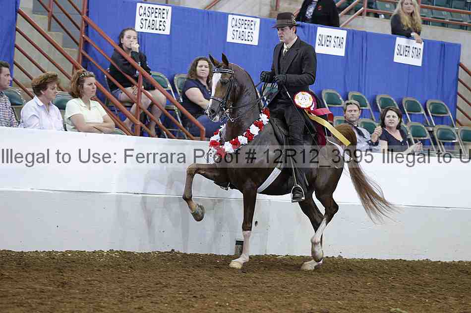 Proof Number 12r12_3095