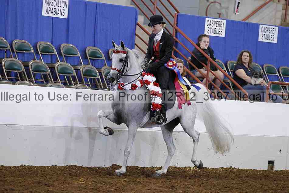 Proof Number 12r12_3097