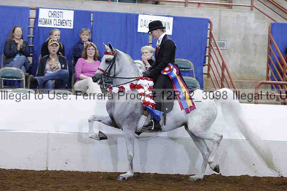 Proof Number 12r12_3098