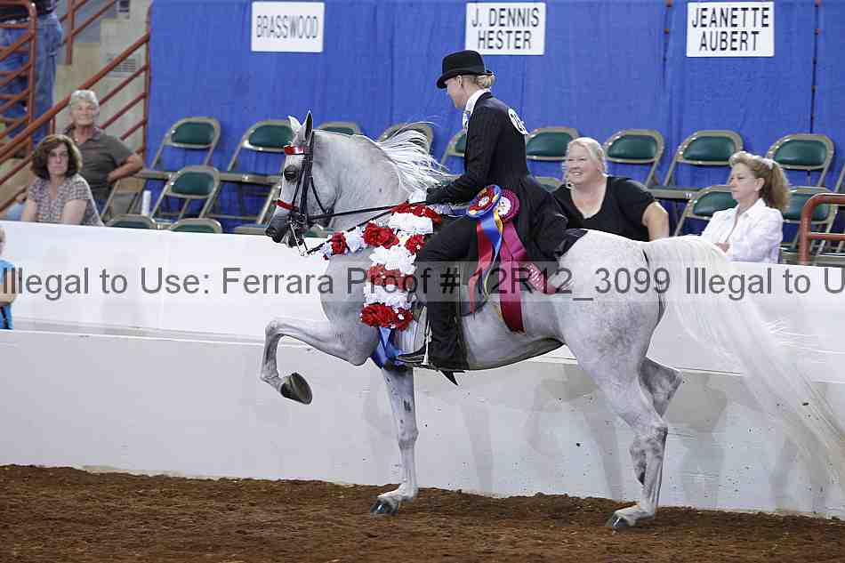 Proof Number 12r12_3099