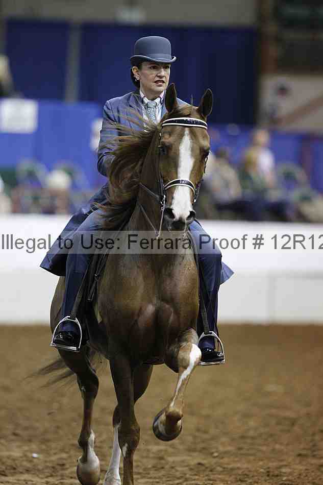Proof Number 12r12_3101