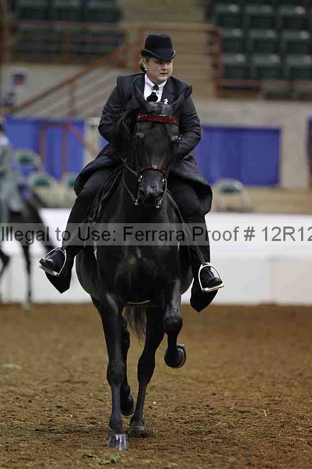 Proof Number 12r12_3102