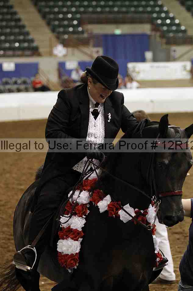 Proof Number 12r12_3130