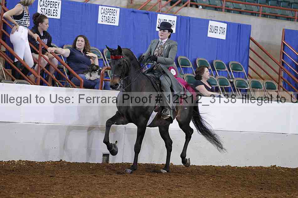 Proof Number 12r12_3138