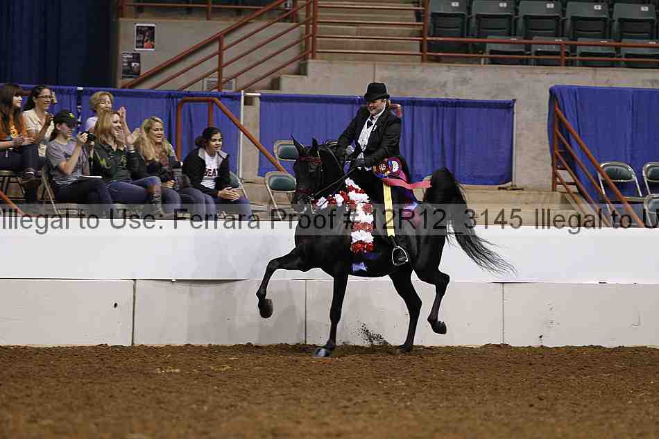 Proof Number 12r12_3145