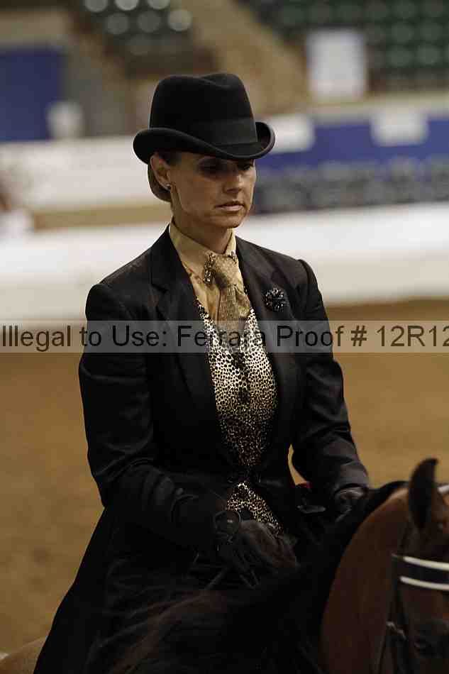 Proof Number 12r12_3146