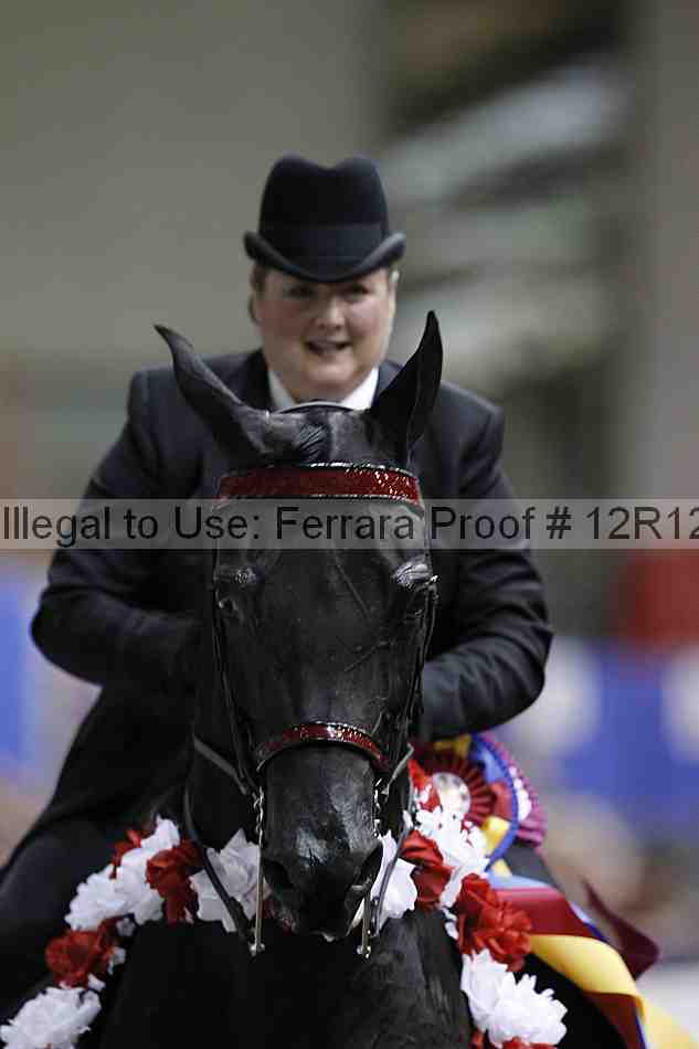 Proof Number 12r12_3151