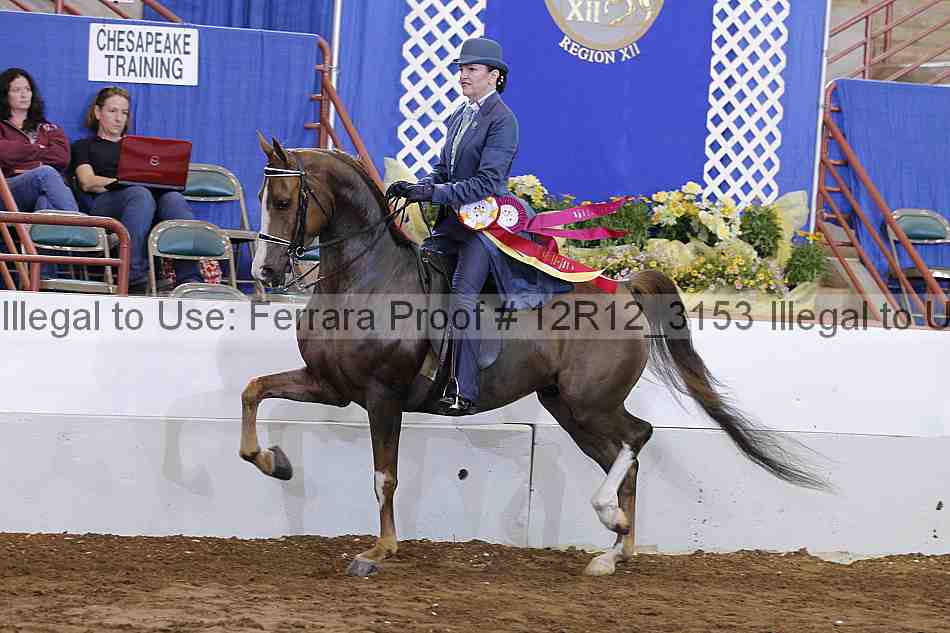 Proof Number 12r12_3153