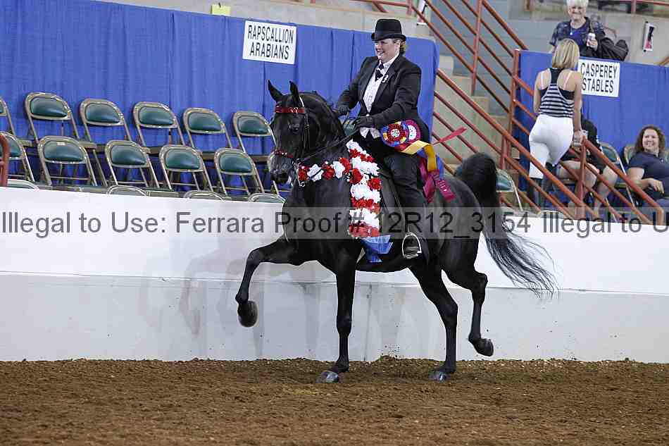 Proof Number 12r12_3154