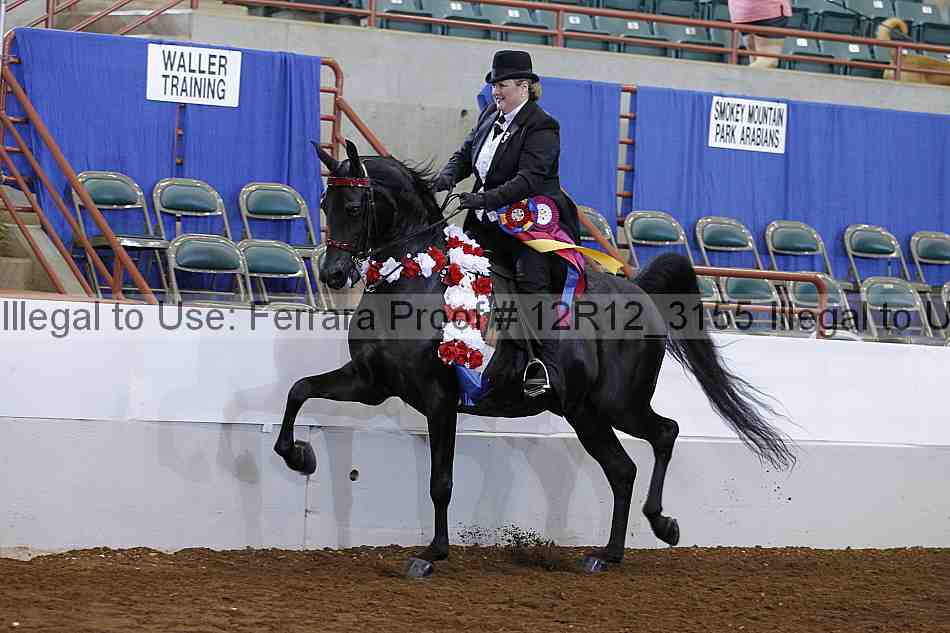 Proof Number 12r12_3155