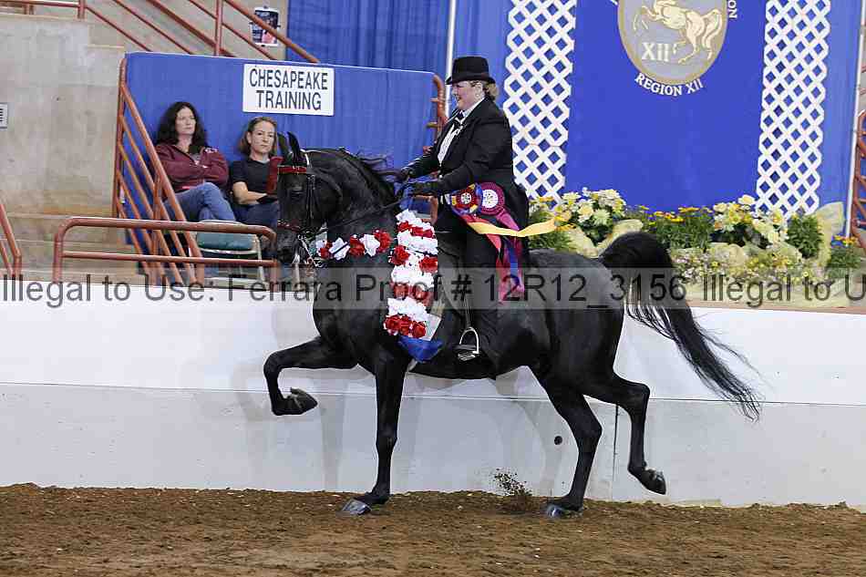 Proof Number 12r12_3156