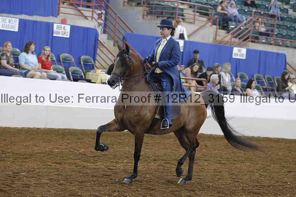 Proof Number 12r12_3159