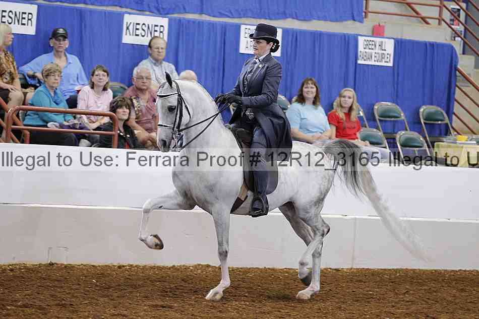 Proof Number 12r12_3165