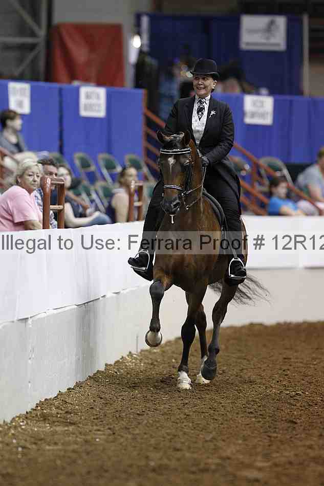 Proof Number 12r12_3175