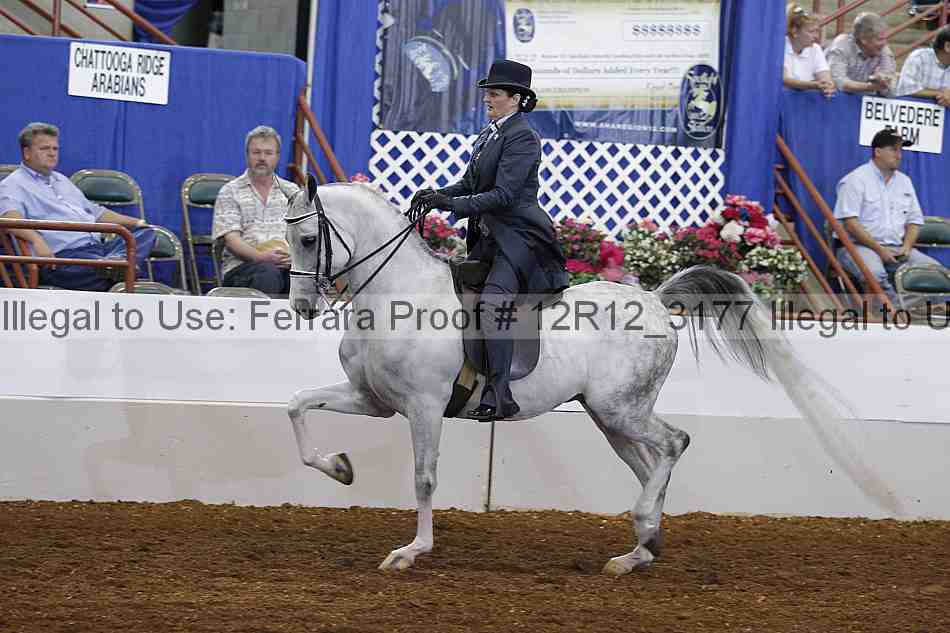 Proof Number 12r12_3177