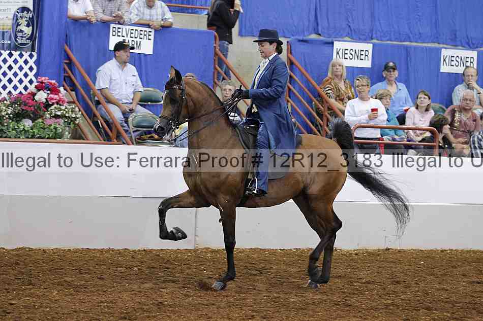 Proof Number 12r12_3183