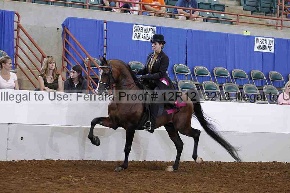 Proof Number 12r12_3213