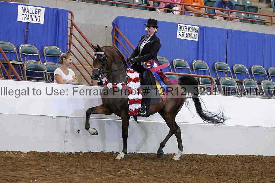 Proof Number 12r12_3231