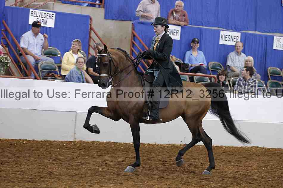 Proof Number 12r12_3256