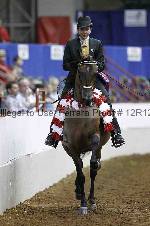 Proof Number 12r12_3274