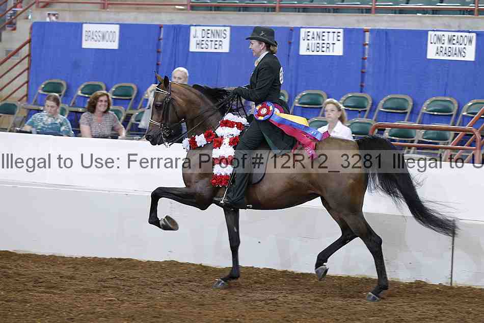 Proof Number 12r12_3281