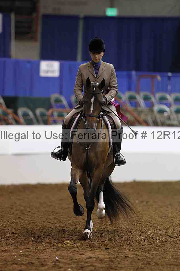 Proof Number 12r12_3339