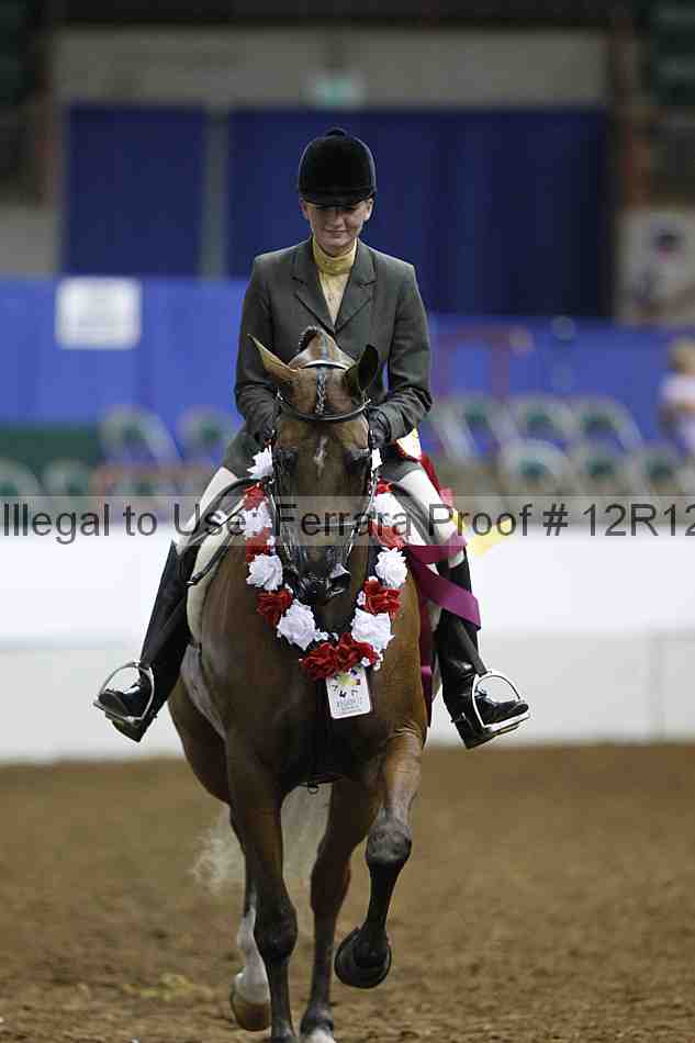 Proof Number 12r12_3347
