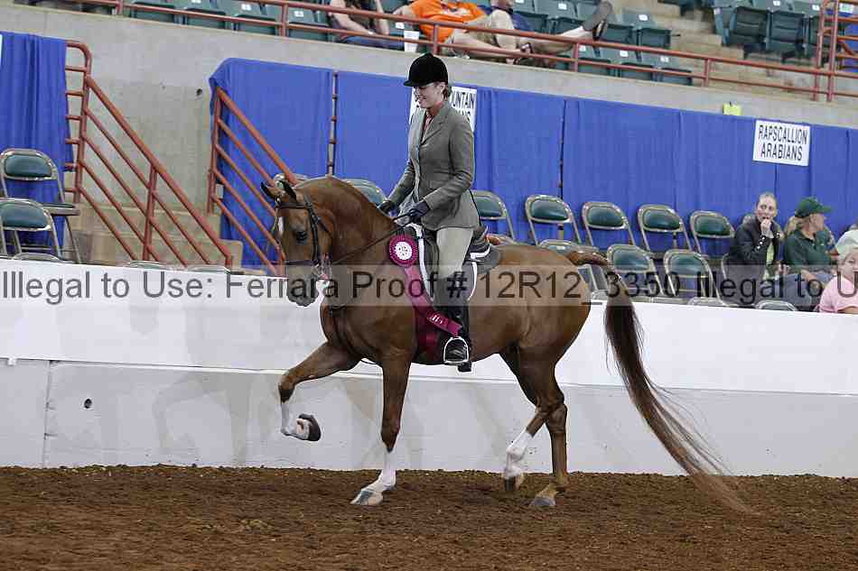 Proof Number 12r12_3350