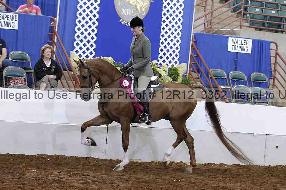 Proof Number 12r12_3352