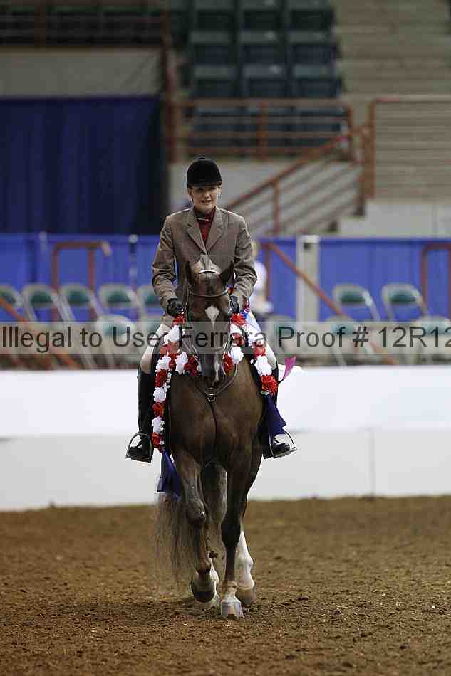 Proof Number 12r12_3354