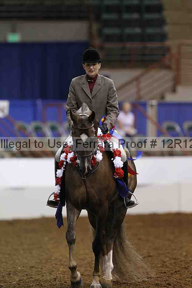 Proof Number 12r12_3356