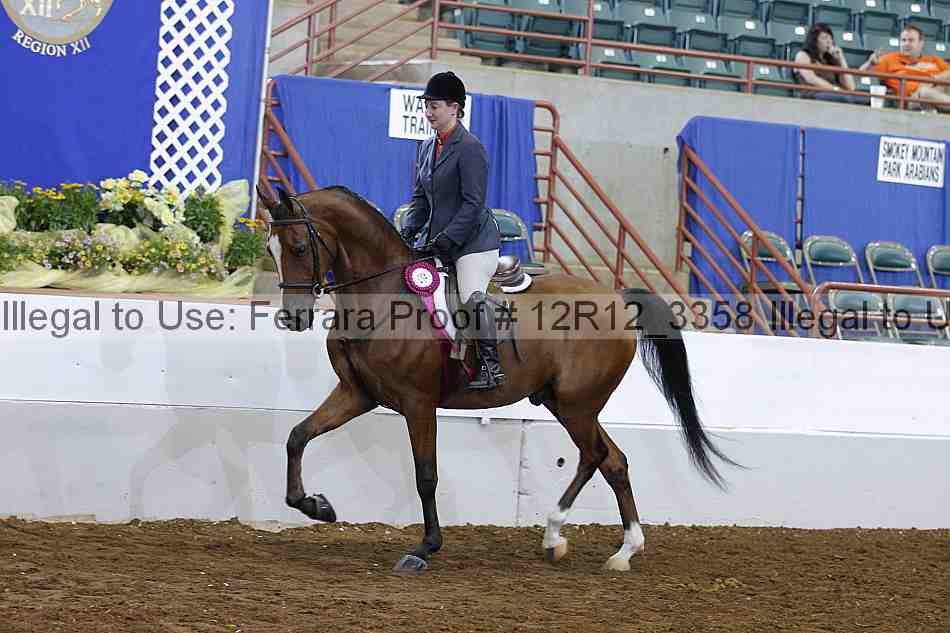 Proof Number 12r12_3358