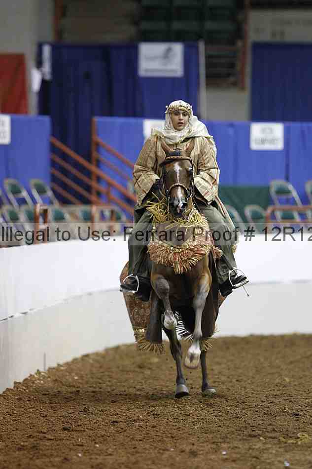 Proof Number 12r12_3380
