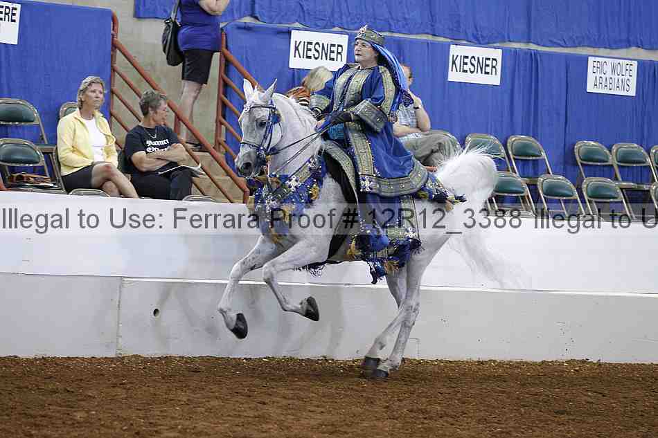 Proof Number 12r12_3388