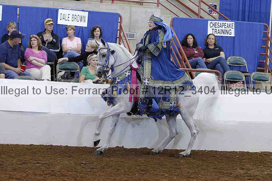 Proof Number 12r12_3404