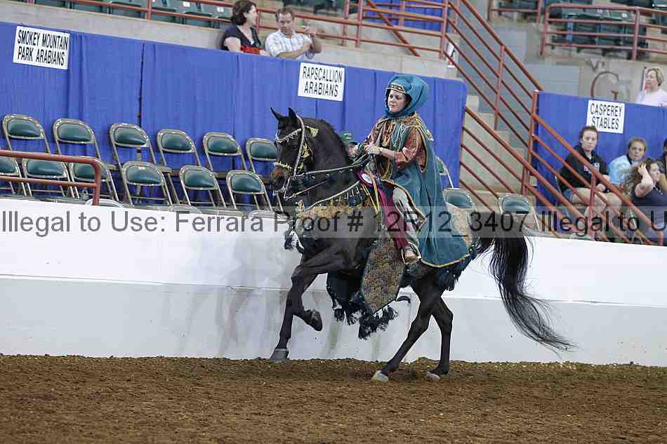 Proof Number 12r12_3407