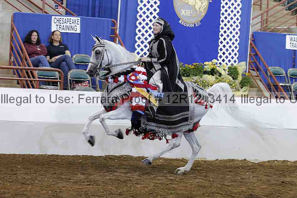 Proof Number 12r12_3414