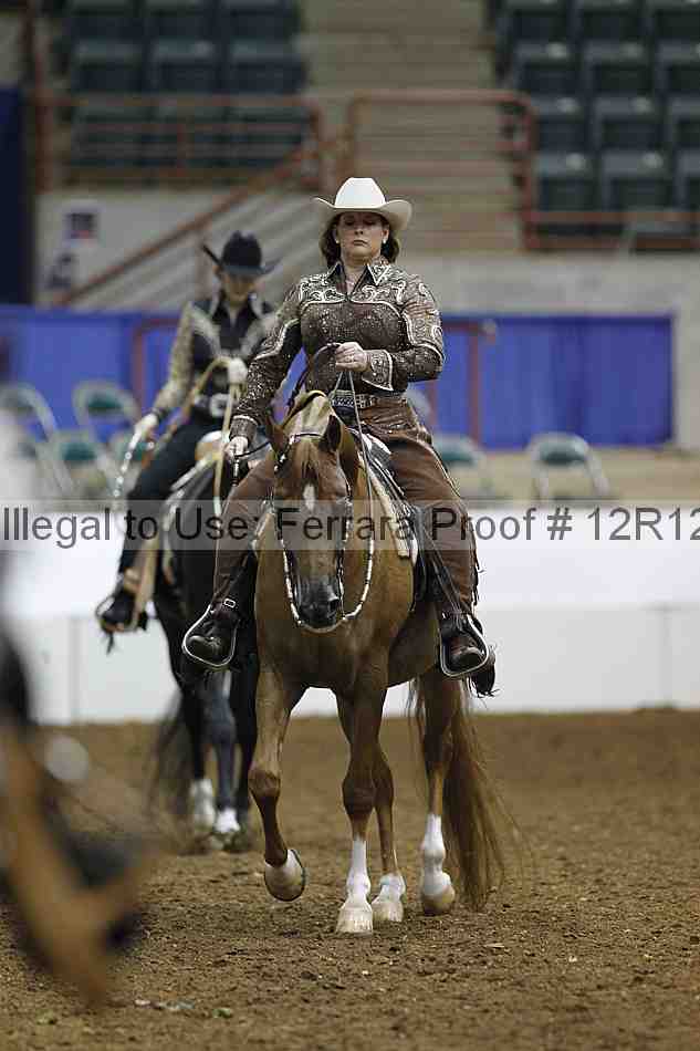 Proof Number 12r12_3462