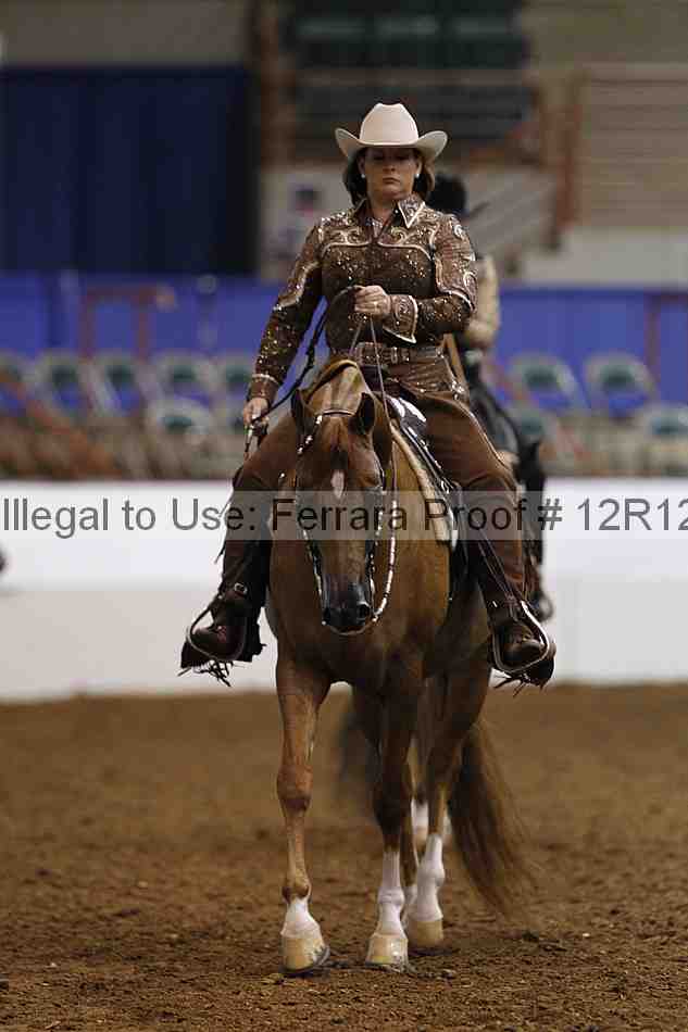 Proof Number 12r12_3464