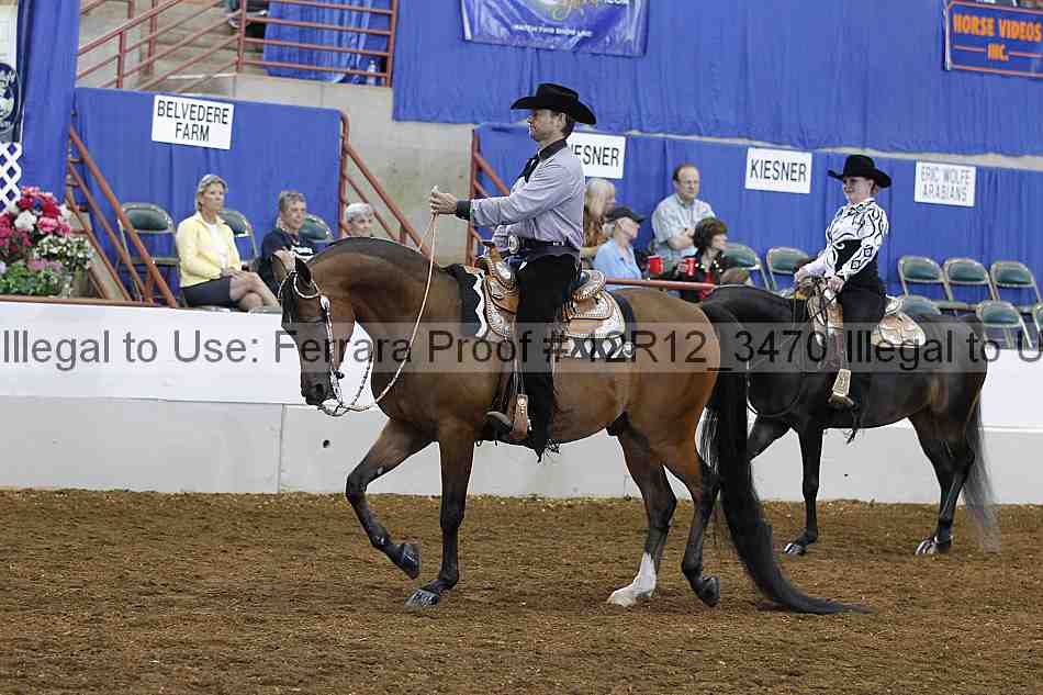 Proof Number 12r12_3470