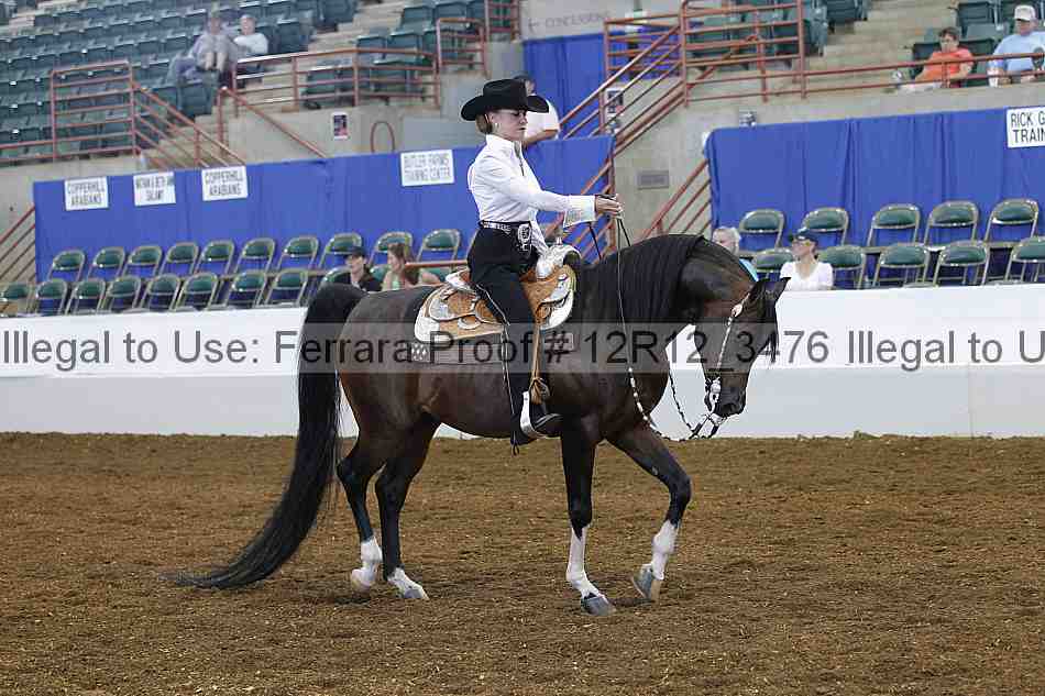 Proof Number 12r12_3476