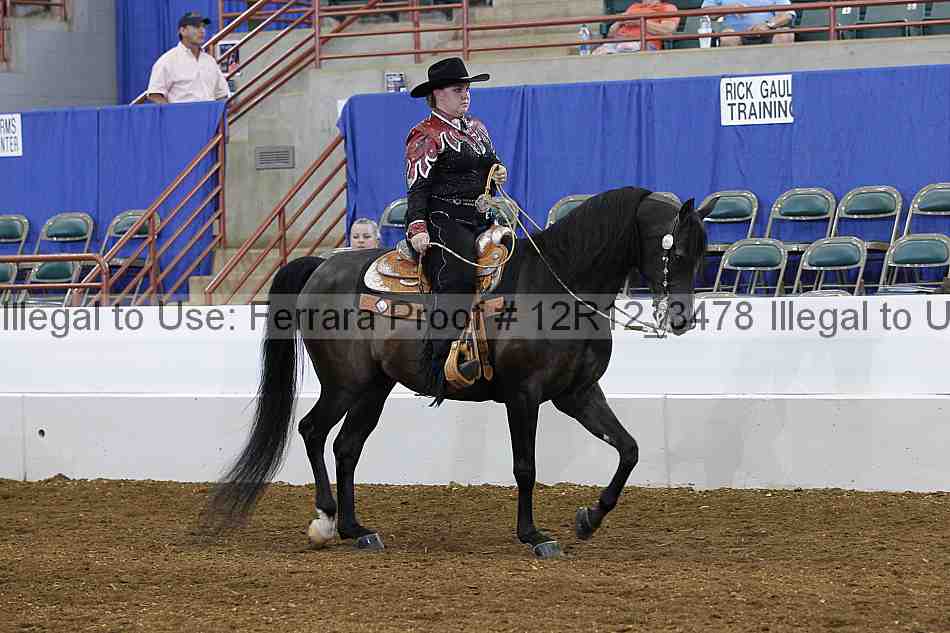 Proof Number 12r12_3478