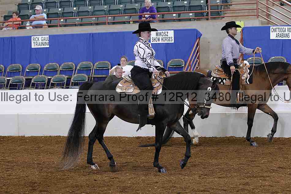 Proof Number 12r12_3480
