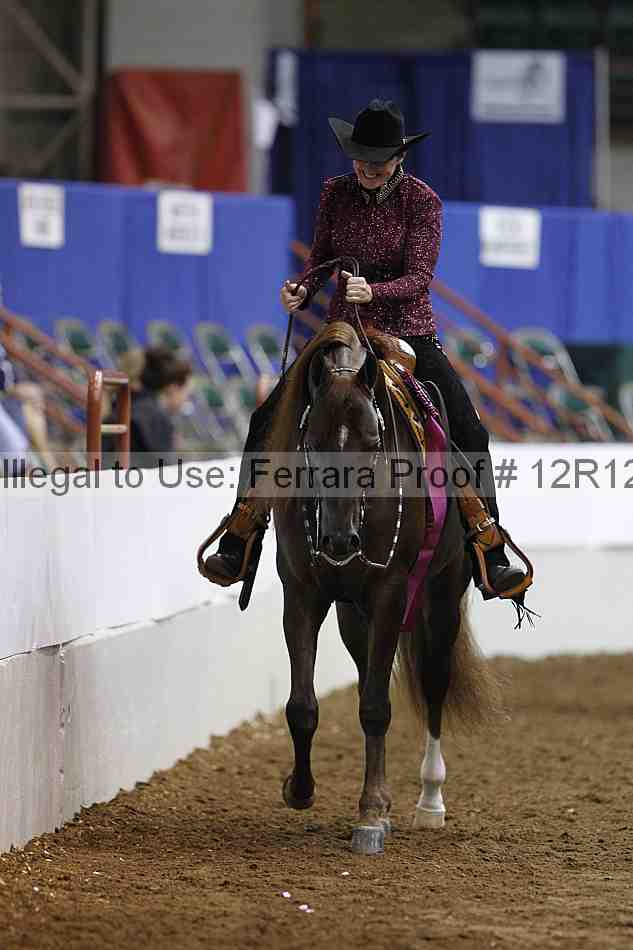 Proof Number 12r12_3491