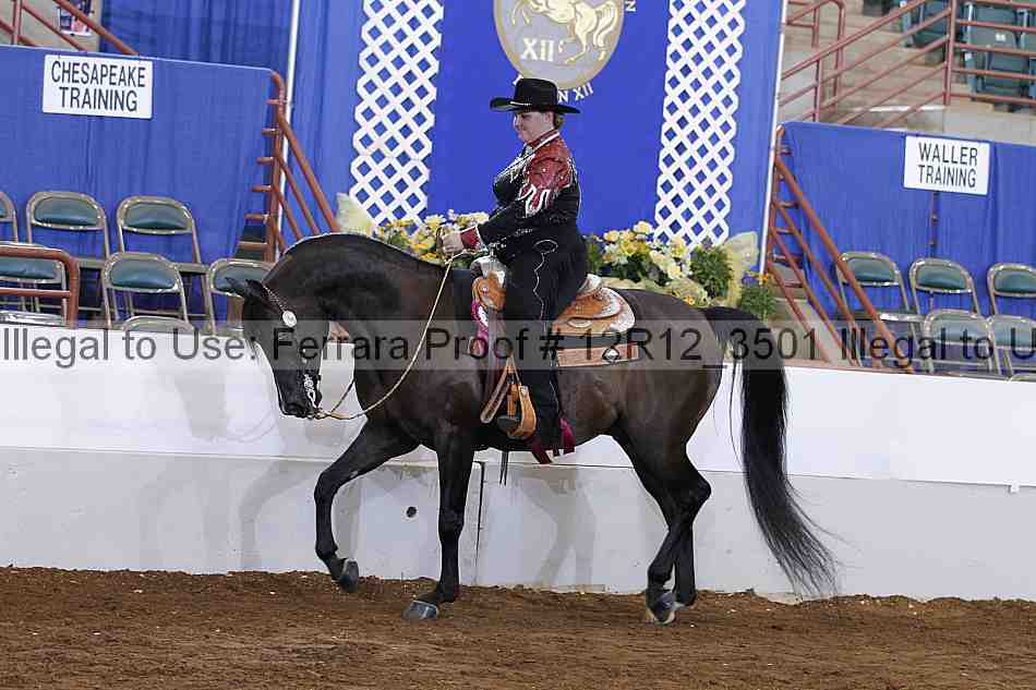 Proof Number 12r12_3501