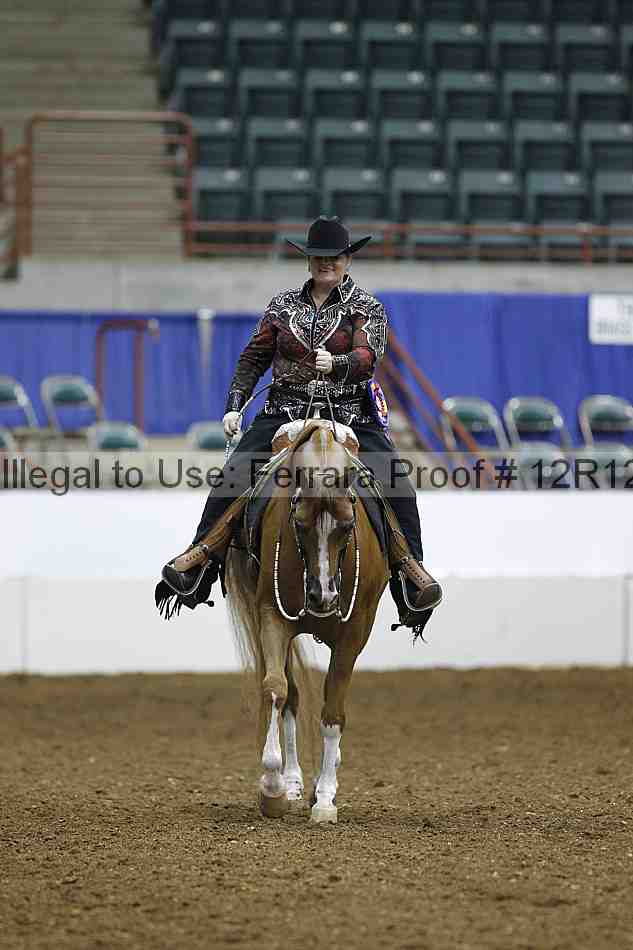 Proof Number 12r12_3505