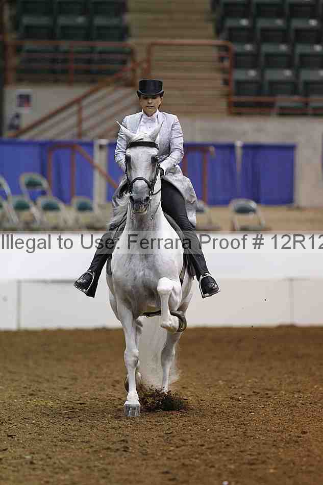 Proof Number 12r12_3528
