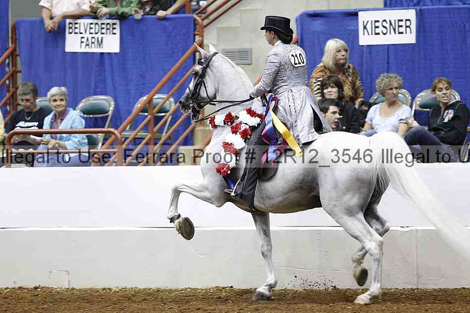 Proof Number 12r12_3546