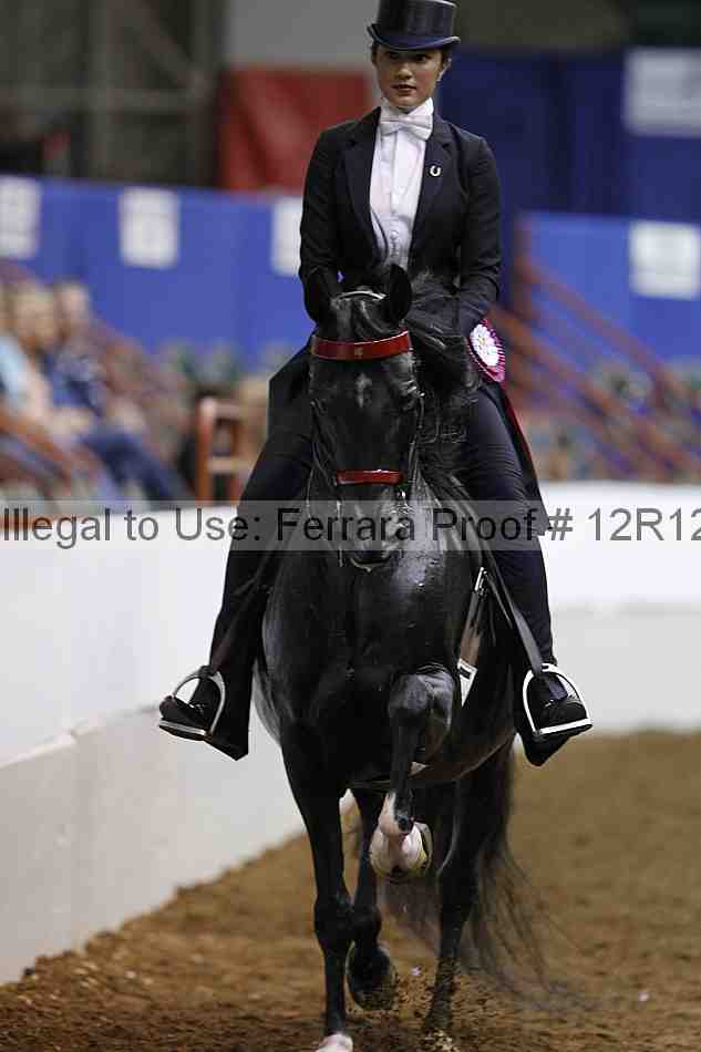 Proof Number 12r12_3547