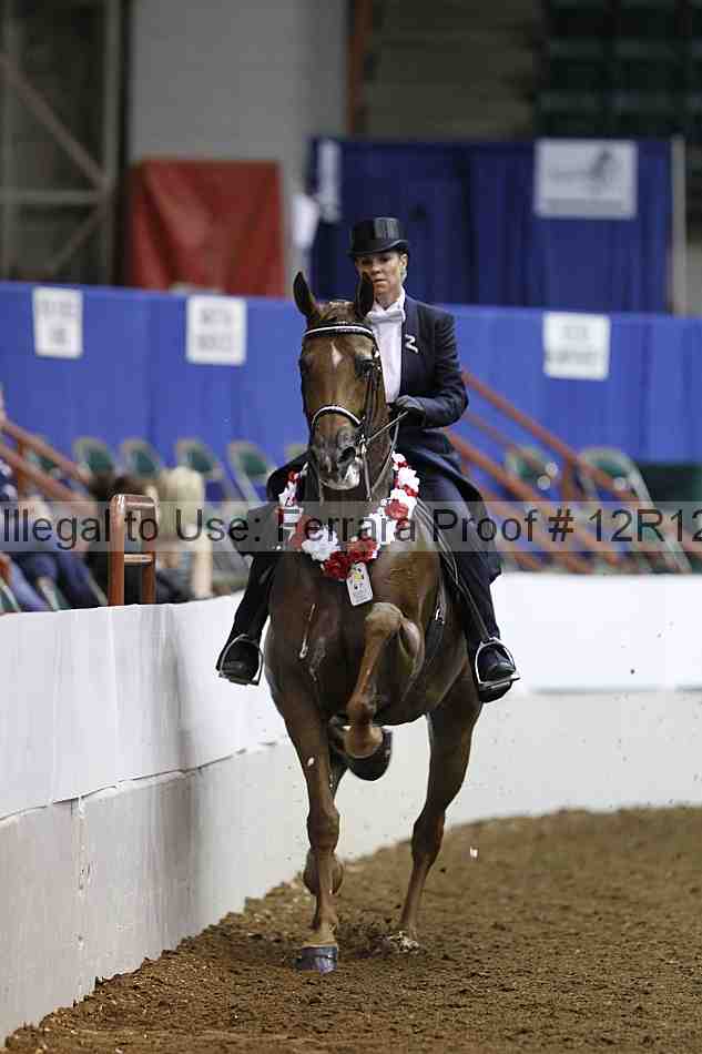 Proof Number 12r12_3548